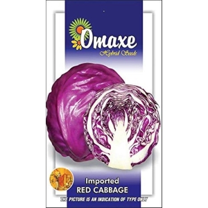 Red Cabbage Seeds Imported Exotic Seeds Kitchen Garden Packet 40 Plus Seeds