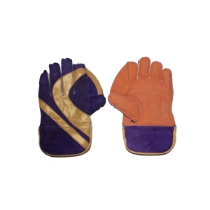 Red Sun Wicket Keeping Gloves (Golden-Blue)