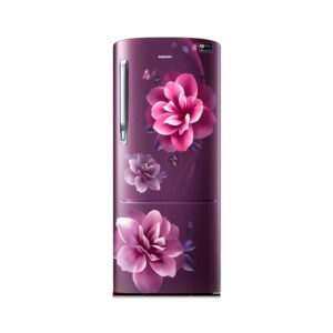 Samsung 192 L Single Door Refrigerator (RR20A274ACR/IM)