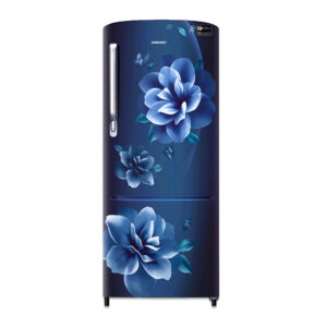 Samsung 192L Single Door Refrigerator (RR20A274ACU/IM)