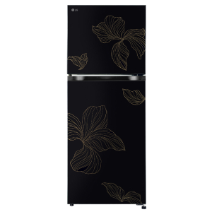 LG 238 Liter Double Door Refrigerator