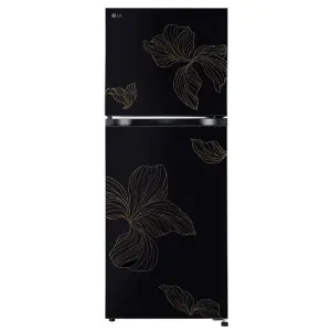 LG 238 Liter Double Door Refrigerator
