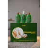 Silver 6-mushroom facial kit (unisex) 10 use