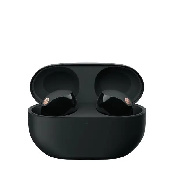 Sony WF-1000XM5 Best Active Noise Cancelling Wireless Bluetooth Earbuds with Mic, TWS, Up to 36 Hours Battery Life - Image 2