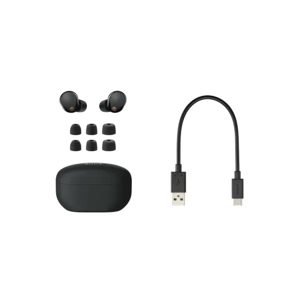 Sony WF-1000XM5 Best Active Noise Cancelling Wireless Bluetooth Earbuds with Mic, TWS, Up to 36 Hours Battery Life - Image 3