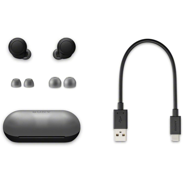 Sony WF-C500 Truly Wireless In-Ear Bluetooth Earbud Headphones with Mic and IPX4 Water Resistance - Image 8