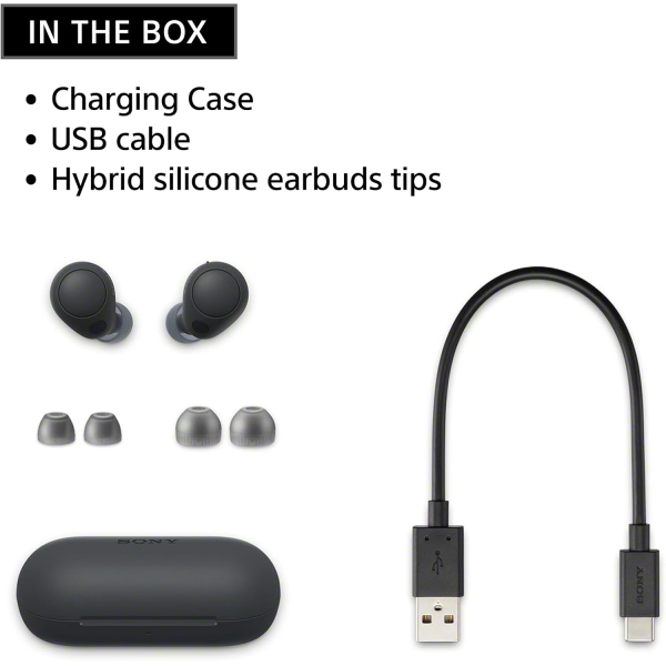 Sony WF-C700N Truly Wireless Noise Canceling in-Ear Bluetooth Earbud Headphones with Mic and IPX4 Water Resistance - Image 2