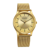 Sota Quartz Alog Champagne Dial Watch for Men