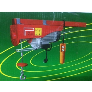 Superior Quality Mini Electric Hoist 100kg Small Home Lift Hoist Controls