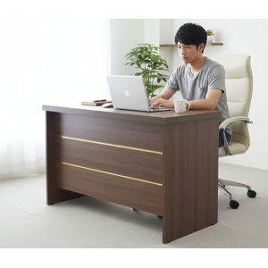Tesa Executive Office Home Table Study Tablw with Drawer