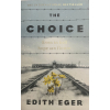 The Choice: A true story of hope (Paperback)