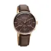 Titan Light leathers Multifunction Brown Dial Leather Strap Watch For Men
