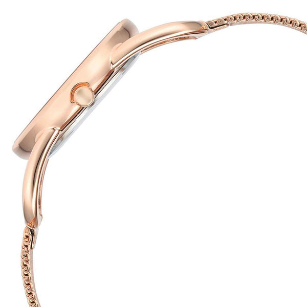 Titan Raga Chic Quartz Analog Pink Dial Metal Strap Watch for Women - Image 4