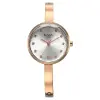 Titan Raga Showstopper Quartz Analog Silver Dial Metal Strap Watch for Women 95271WM02
