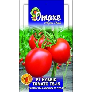 Tomato Seeds - Tomato F1 Hybrid (RED) TS-15 Hybrid 50 Plus Seeds
