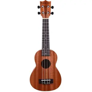 Ukulele/ 24 Inch Ukulele With Carry Bag