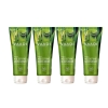 VAADI  Bamboo Age Defying Moisturizers with Grapeseed Extract (Pack of 4)