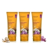 VAADI Sunscreen Lotion SPF-30 with Lilac Extract (Pack of 3)