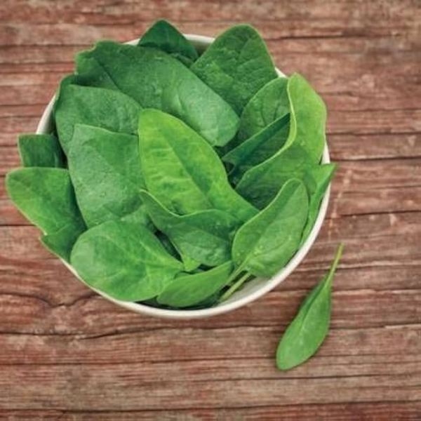Vegetable Seed - 1 Packet BABY SPINACH IMPORTED Omaxe Seeds By Savyata Stores For Kitchen Garden - Image 3