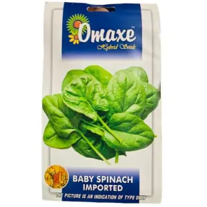 Vegetable Seed - 1 Packet BABY SPINACH IMPORTED Omaxe Seeds By Savyata Stores For Kitchen Garden