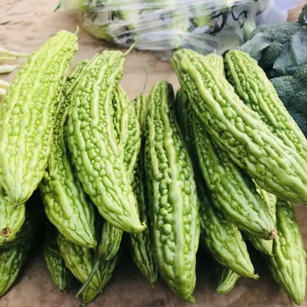 Vegetable Seed - 1 Packet Bar Karela Bitter Gourd Seeds By Savyata Stores For Kitchen Garden - Image 3