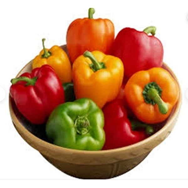 Vegetable Seed - 1 Packet BELLPEPPER MISTICANZA Omaxe Seeds By Savyata Stores For Kitchen Garden - Image 3