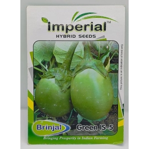 Vegetable Seed - 1 Packet Brinjal Green Is-5 Seeds By Savyata Stores For Kitchen Garden