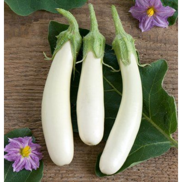 Vegetable Seed - 1 Packet Brinjal White Long.. Seeds By Savyata Stores For Kitchen Garden - Image 2