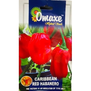 Vegetable Seed - 1 Packet CARIBBEAN RED HABANERO Omaxe Seeds By Savyata Stores For Kitchen Garden, HOTTEST CHILLY