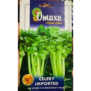 Vegetable Seed - 1 Packet CELERY IMPORTED Omaxe Seeds By Savyata Stores For Kitchen Garden