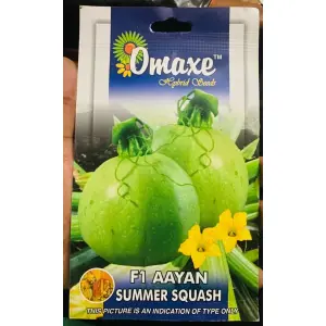 Vegetable Seed - 1 Packet F1 AAYAN SUMMER SQUACH Omaxe Seeds By Savyata Stores For Kitchen Garden