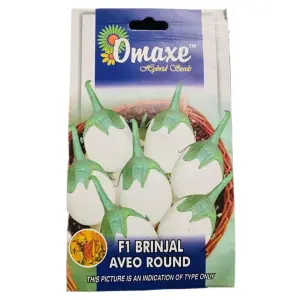 Vegetable Seed - 1 Packet F1 BRINJAL AVEO ROUND Omaxe Seeds By Savyata Stores For Kitchen Garden