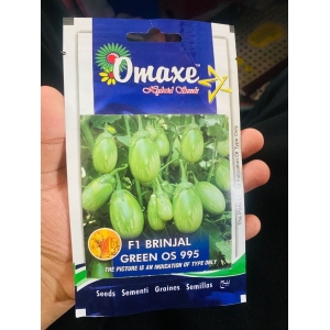 Vegetable Seed - 1 Packet F1 BRINJAL GREEN OS 995 Omaxe Seeds By Savyata Stores For Kitchen Garden