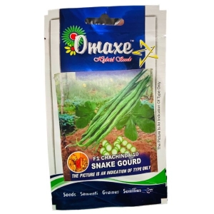 Vegetable Seed - 1 Packet F1 CHICHINDA 10 SNAKE GOURD Omaxe Seeds By Savyata Stores For Kitchen Garden