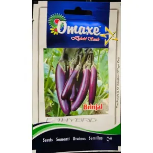 Vegetable Seed - 1 Packet F1 LONG F1 HYBRID BRINJAL Omaxe Seeds By Savyata Stores For Kitchen Garden