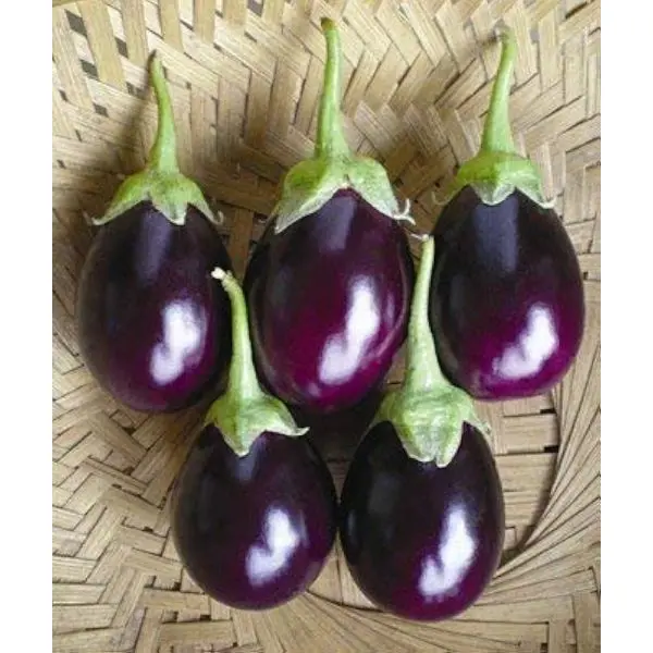 Vegetable Seed - 1 Packet O F1 BRINJAL BABU SONA maxe Seeds By Savyata Stores For Kitchen Garden - Image 2