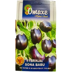 Vegetable Seed - 1 Packet O F1 BRINJAL BABU SONA maxe Seeds By Savyata Stores For Kitchen Garden