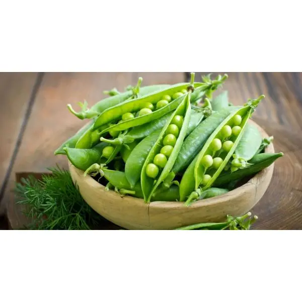 Vegetable Seed - 1 Packet Peas Improves IAG-10 Seeds By Savyata Stores For Kitchen Garden - Image 2