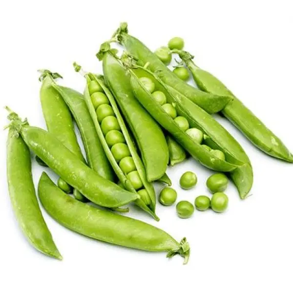 Vegetable Seed - 1 Packet Peas Improves IAG-10 Seeds By Savyata Stores For Kitchen Garden - Image 3