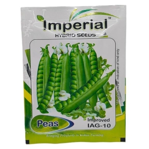 Vegetable Seed - 1 Packet Peas Improves IAG-10 Seeds By Savyata Stores For Kitchen Garden