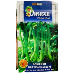 Vegetable Seed - 1 Packet SELECTED POLO BEANS SANCHI Omaxe Seeds By Savyata Stores For Kitchen Garden
