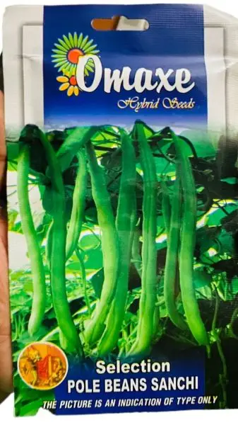 Vegetable Seed - 1 Packet SELECTED POLO BEANS SANCHI Omaxe Seeds By Savyata Stores For Kitchen Garden