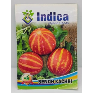 Vegetable Seed - 1 Packet Sendh Kachri Seeds By Savyata Stores For Kitchen Garden