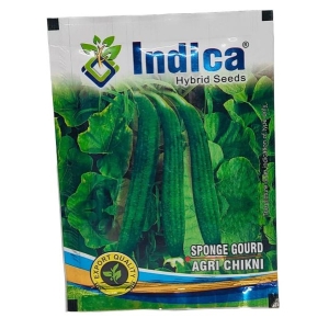 Vegetable Seed - 1 Packet Sponge Gourd Agri Chikni Seeds By Savyata Stores For Kitchen Garden