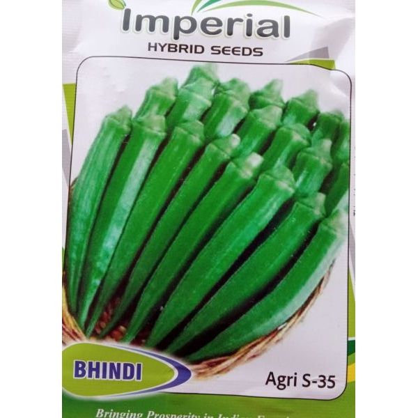 Vegetable Seeds - Bhindi Seeds - Ladies Finger Seeds / Okra Seeds 7 Gram - Image 2