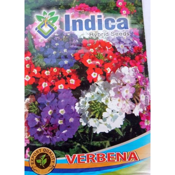 Verbena Mix Flower Seeds 2 Gram - Image 2