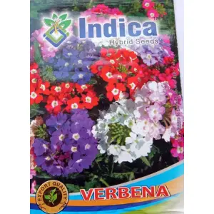 Verbena Mix Flower Seeds 2 Gram