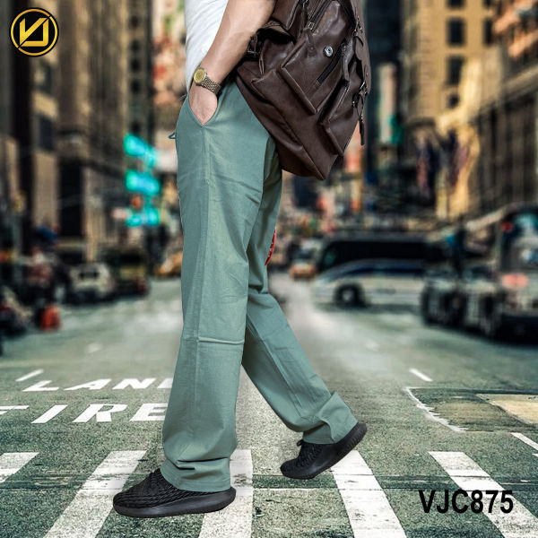 VIRJEANS (VJC875) Stretchable Linen Summer Trouser For Men- Blue - Image 5
