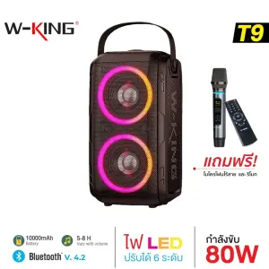 W-King T9 Karaoke Bluetooth Speaker