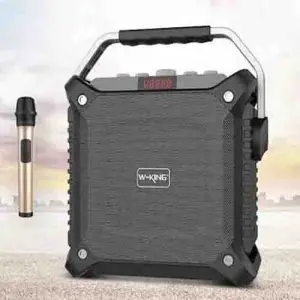 W-king K3 Bluetooth Karaoke outdoor speaker 80w with 2 mic, remote